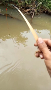 Joran Wader 70 cm - Joran Bambu - Joran Micro - Joran Uceng - Joran Brekele - Joran Lentur