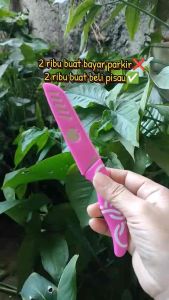 ( PA ) Knife Kitchen / Pisau Apel Kecil Dapur Sayur Buah sharp Stainless Tajam