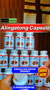 RED ALINGATONG ROOTS CAPSULES (100 CAPSULES 500mg) For kidney Stones Kidney Problem Menstrual Problem Diabetes Hypertension