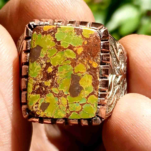 cincin pirus persia daun kering