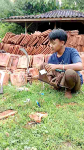 Arit Rumput Bintang9 Uk Besar Asli Madura