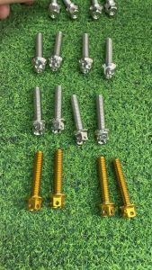 HANDMADE 5x25 VISOR BOLTS NMAX/AEROX/ADV SOLD PER PC