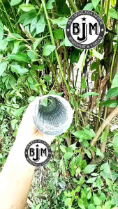 Pipa Saringan Knalpot Copy Dbs Kws Inlet 50mm Sarangan Knalpot Racing Bass Adem Pnp