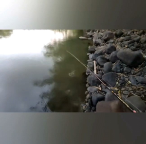 UMPAN HAMPALA MINI WTD 5CM KAYU NATURAL