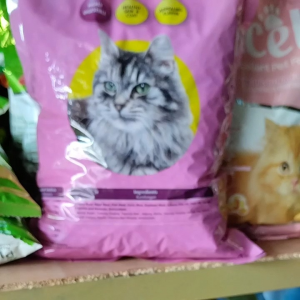 Bolt Salmon Makanan Kucing Kering Kemasan Repack 800gram Rasa Salmon Untuk Kucing Dewasa