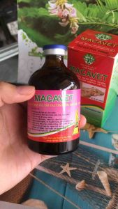 MACAVET (100ml) tím tai tím mõm phù mặt tiêu chảy viêm
