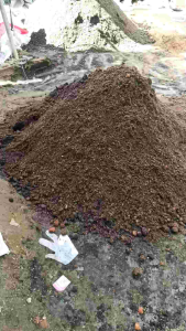 BUY 1 TAKE 1 ORGANIC LOAM SOIL 10kg per BAGS complete garden mix with vermicast for plants vegetables fruits home garden.