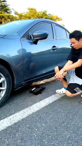 Ratchet Wrench Tongkat Bantu Pemutar Dongkrak Mobil Universal Sangat Kuat dan Awet