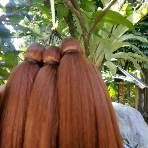 Cemara Tanpa Tulang Warna pirang panjang 80cm