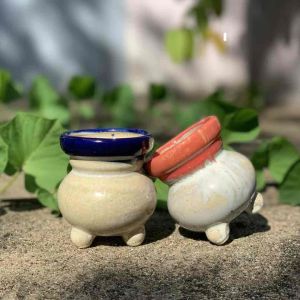 Chậu trồng cây sen đá/xương rồng xuất Hàn màu xanh chủ đạo