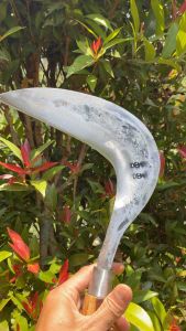 Arit rumputarit padi arit jagung arit full baja asliarit full per baja asliarit rumput siap pakaiarit siap pakaiarit anti rompalsabit rumput super tajamsabit padi siap pakai