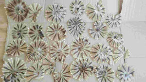 ปลาแห้ง ปลาวง จืด ปลากระเบนวง ปลาลิ้นหมา ปลาแก้ว จืด ปลาทะเลแห้ง ใหม่ สด สะอาด ไม่ใส่สารเคมี