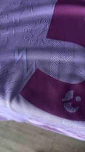 Flex เบอร์สกรีน บุรีรัมย์ยูไนเต็ด buriramunited TPL2024 (player)