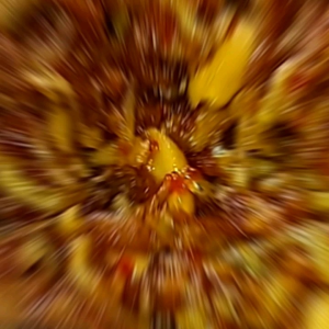 Sambal Teri Medan Kacang Tempe