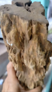 Fosil Dekor Kayu Gaharu Kalimatan Super 3 kg