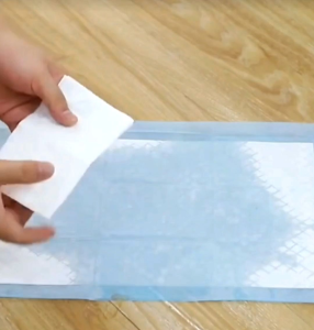 【Ready Stock】Pet Wee Wee Pad | Pet Pee Pad | Pet Training Mat | 宠物训练尿垫