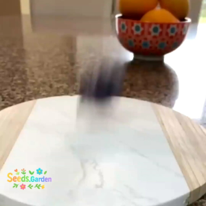 50 BUTIR BIJI/BENIH TANAMAN BRUSSELS UNGU SPROUTS