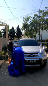 Cover Kap Mesin Mobil Anti Cakaran Kucing: Perlengkapan Mobil Anti Kerusakan