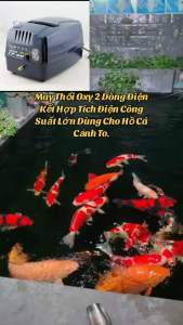 Máy bơm oxy tích điện HAILEA CPA 60 CPA 100 CPA 120