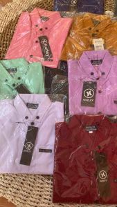 Kemeja Anak Laki-laki Warna Sage: Koleksi Terbaik untuk Usia 4-14 Tahun