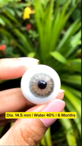 Softlens Teresa Brown Grey Gray Dia.14.5 mm Normal & Minus ( -0.50 s/d -6.00 ) Bisa Beda Minus Soflens Wedding By Dreamcolor1