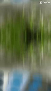 Nắp Lưng S23 zin mới thay mặt lưng Samsung s23 hàng chuẩn giá tốt