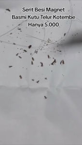 Sisir Kutu Berkualitas Tinggi: Solusi Alat Penghilang Kutu Rambut