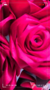 Satin Rose Flower Bouquet (Valentines Mothers Day Birthday Monthsary Anniversary Gift Graduation Gift Teachers Day Christmas Gift