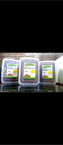 [BELI3GRATIS1] 150GR Makanan sulcata pardalis aldabra pelet kura-kura darat tortoise food pakan radiata indian star sulkata redfoot russian hermanni pasti lahap