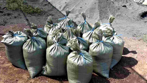 แกลบดำ เพาะพันธุ์ไม้ ช่วยดินร่วนซุย