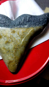 Dekorasi batu posil untu hio purba