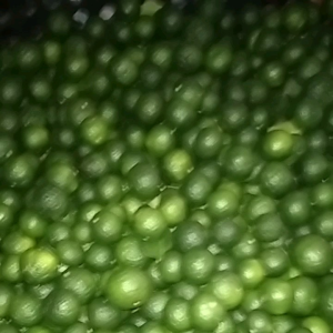 Jeruk Limau Segar: Manfaat & Cara Menggunakannya