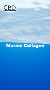CBD COLLAGEN REPAIR SERUM 1 PC