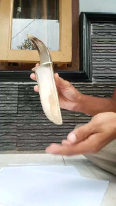 Golok Pisau Fulltanduk Bule Super Mulus