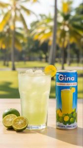 6x / 12x Gina Calamansi Juice Drink 250mL (6 / 12 Cans)