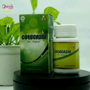 suplemen tulang sendi rapuh colocasia tea kapsul herbal BPOM