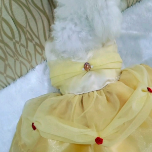Baju Anjing & Kucing Tipe Belle Gown Premium Collection