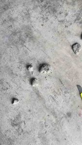 Super Cat Pasir Kucing 12L (Free Scoop)