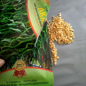 100 Butir Benih Repack Cabai Lokal Merah Kertiting AKA R CMK AKAR Cabe AKAR Sumatra Barat