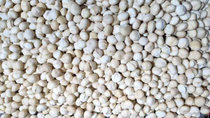 แมคคาเดเมียเม็ดเต็มขาวOA อบพร้อมทาน กรุบกรอบ หวานหวานมัน อร่อย