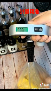 家用旅行手提秤 50kg