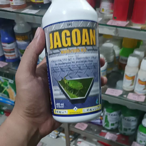 Insektisida Jagoan | racun hama kutu daun ulat walngsangit