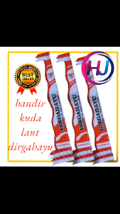 bendera bandir umbul umbul rempel dirgahayu