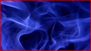 TAJI AYAM RONTGEN GERMAN