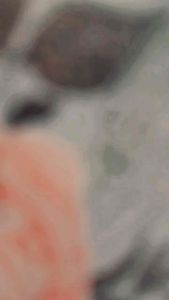 DHASHOP 2 Buku Tamu Pernikahan Motif Bunga untuk 500 Nama