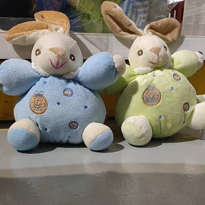 Silky Soft Plush Toy with Rattle