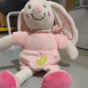 Bunny Soft Toy