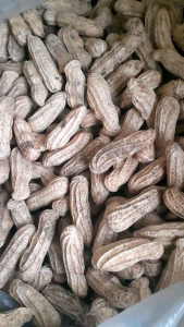 Kacang Tanah Mentah & Kacang Kulit Basah: Manfaat & Cara Penggunaan