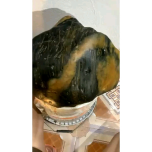 Gỗ hóa thạch thô 14kg