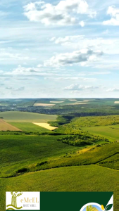 (1kg) Organic Brown Rice Wholesome aromatic and naturally grown in fertile Philippine soil. Our organic brown rice is rich in fiber vitamins and minerals supporting better digestion and lasting energy. Grown without pesticides or chemicals.